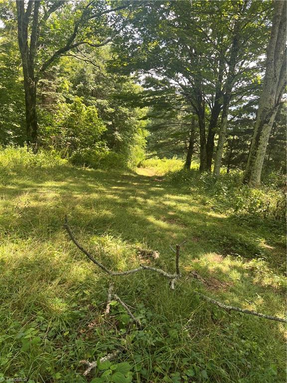 000 Whitaker Branch Road Property Photo 6