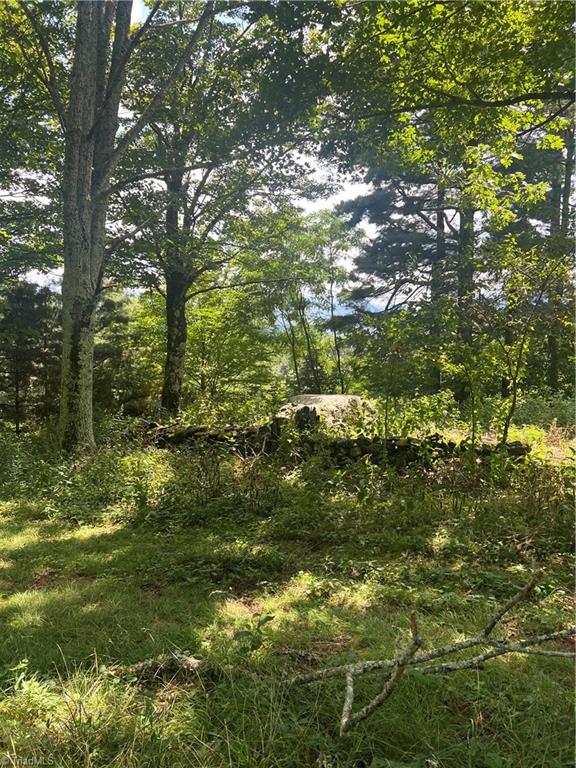 000 Whitaker Branch Road Property Photo 7