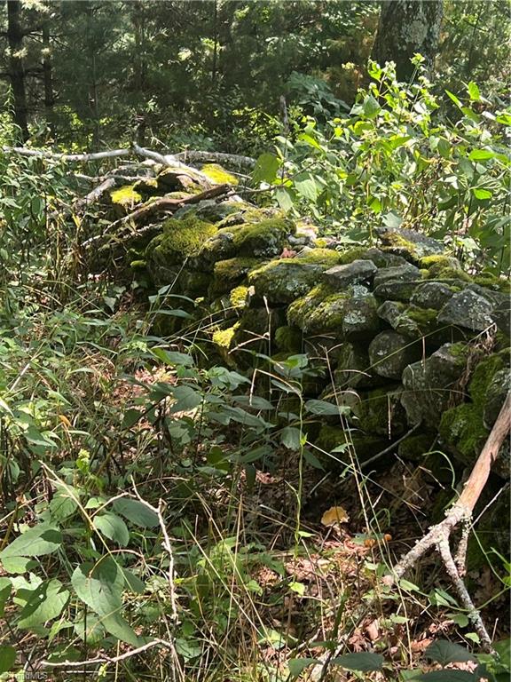 000 Whitaker Branch Road Property Photo 8