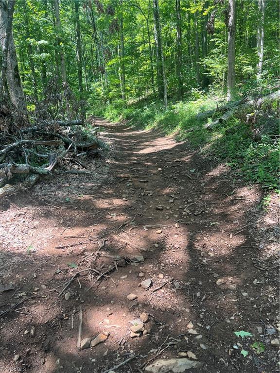 000 Whitaker Branch Road Property Photo 9