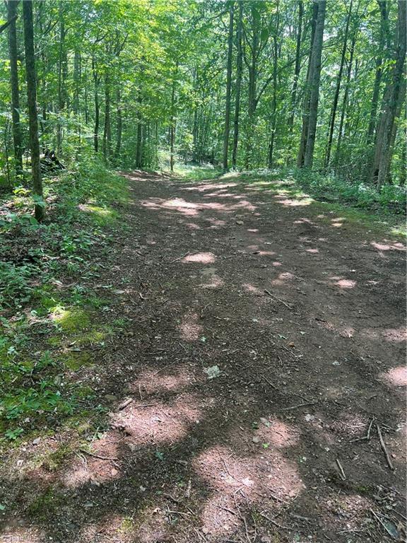 000 Whitaker Branch Road Property Photo 10