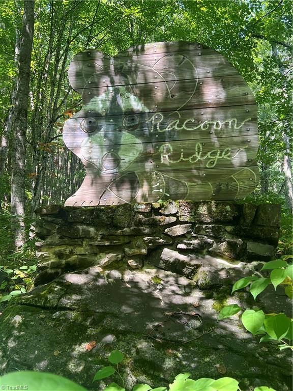 000 Whitaker Branch Road Property Photo 12