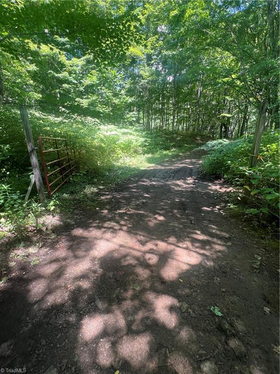 000 Whitaker Branch Road Property Photo 13