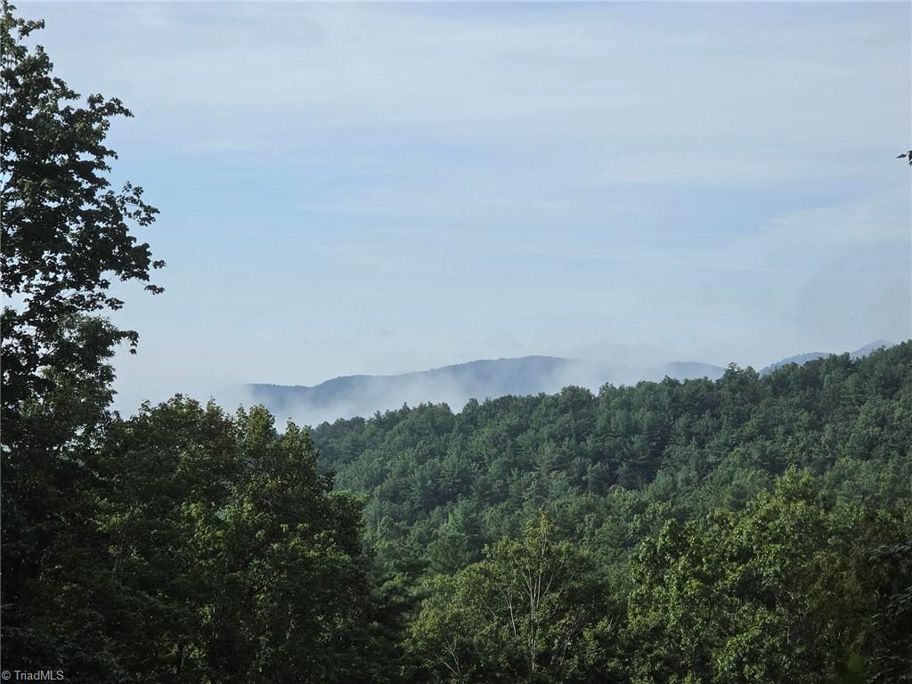 582 Deer Crossing Lane Property Photo 11