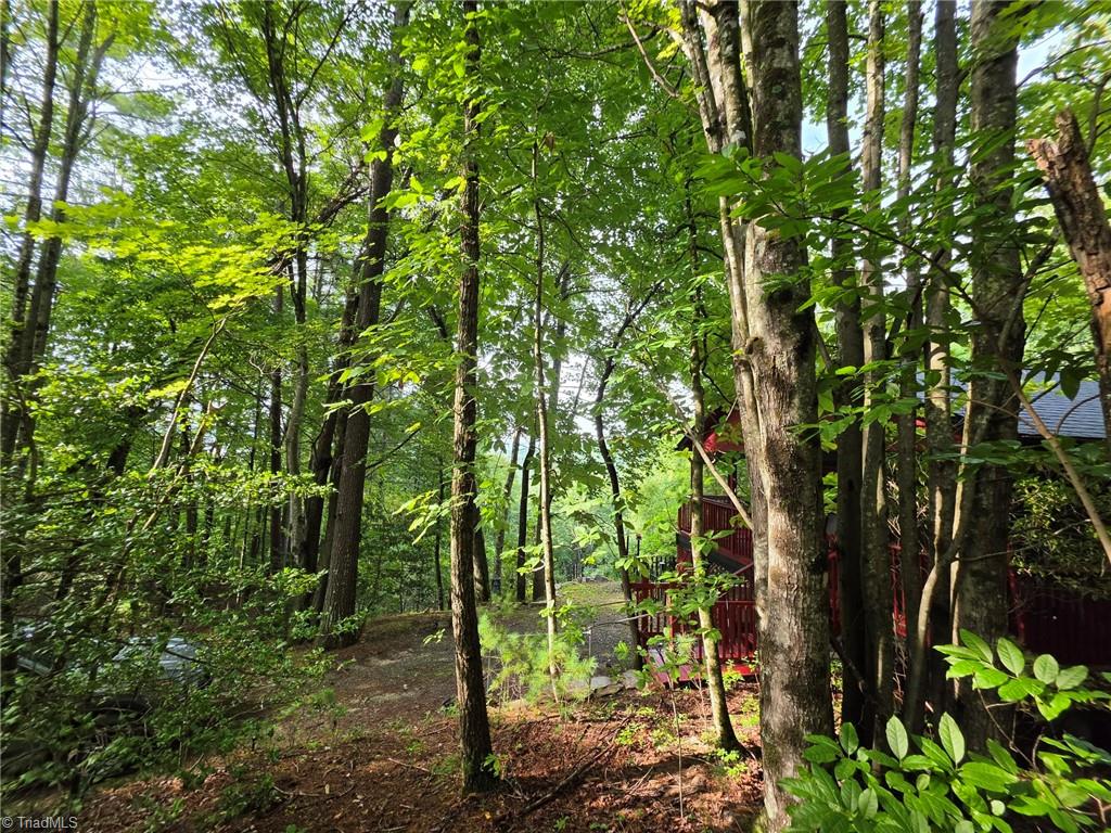582 Deer Crossing Lane Property Photo 13
