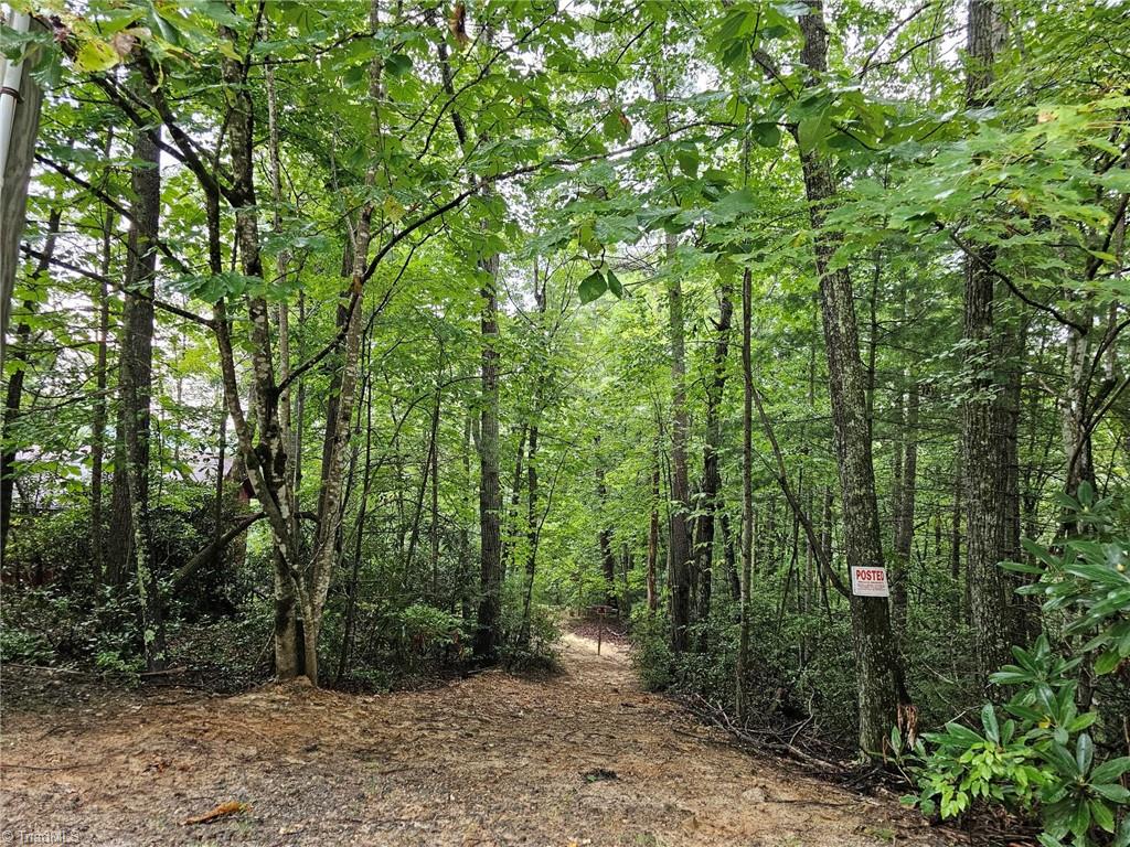 582 Deer Crossing Lane Property Photo 14
