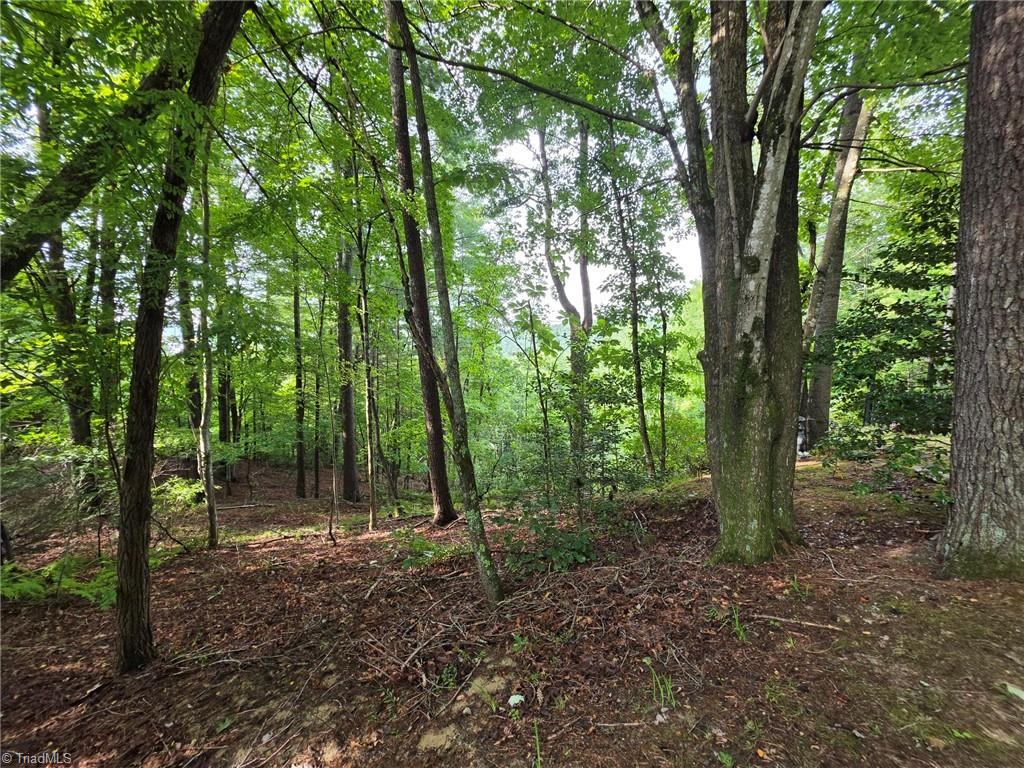 582 Deer Crossing Lane Property Photo 15