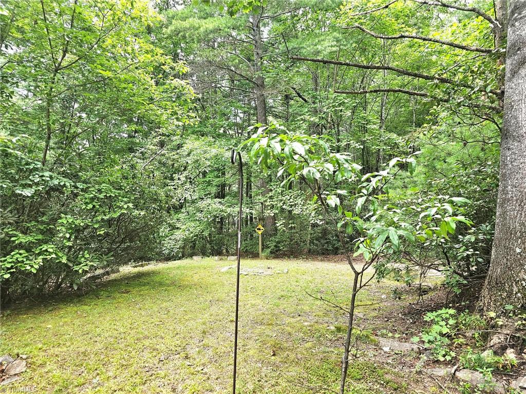 582 Deer Crossing Lane Property Photo 16