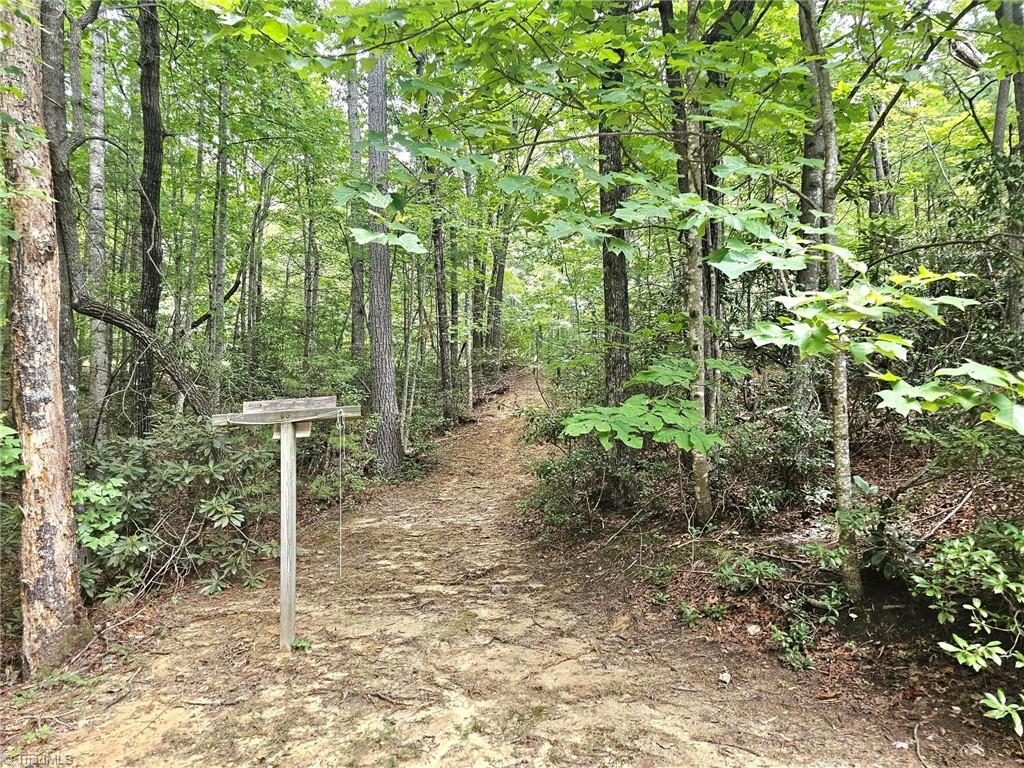 582 Deer Crossing Lane Property Photo 17