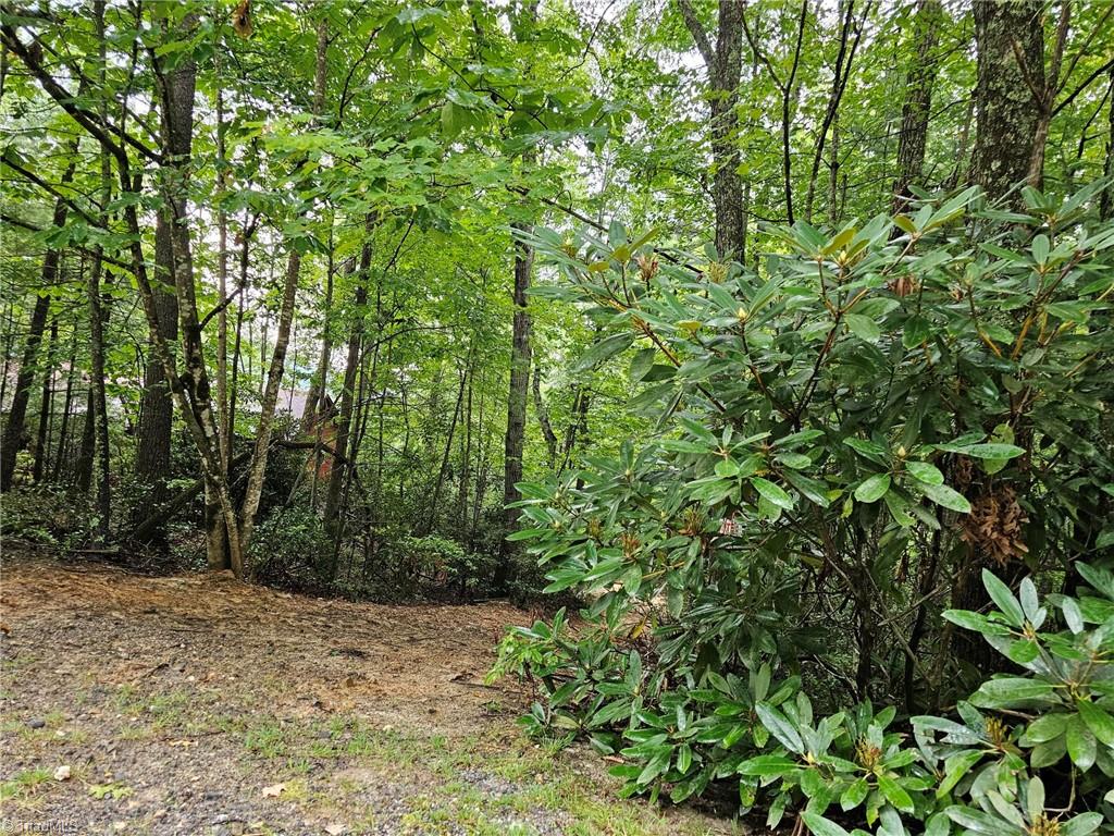 582 Deer Crossing Lane Property Photo 19