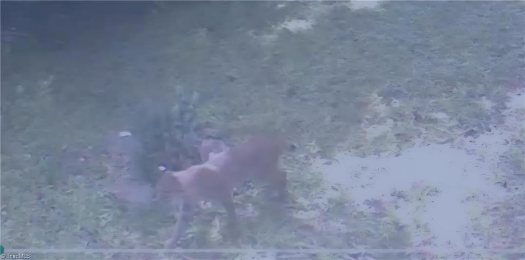 582 Deer Crossing Lane Property Photo 45