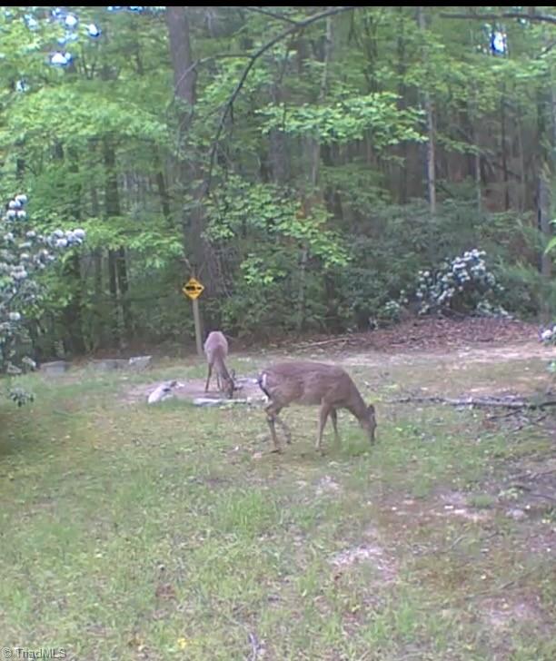 582 Deer Crossing Lane Property Photo 46