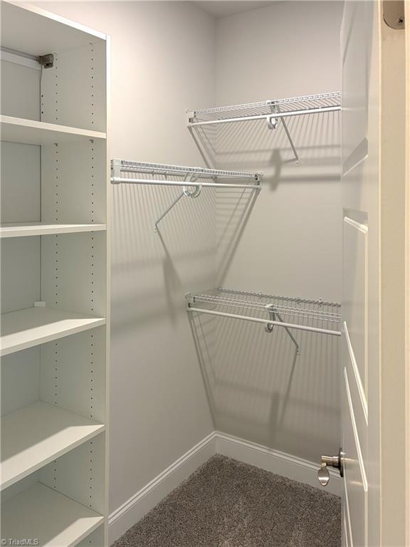 1097 Tulloch Court Property Photo 27