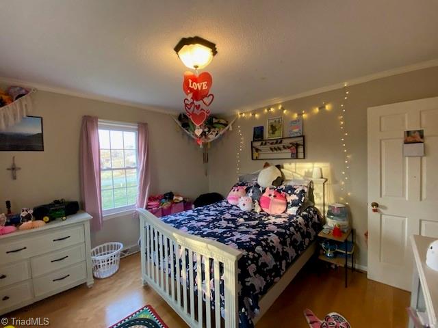 149 Seeley Drive Property Photo 19