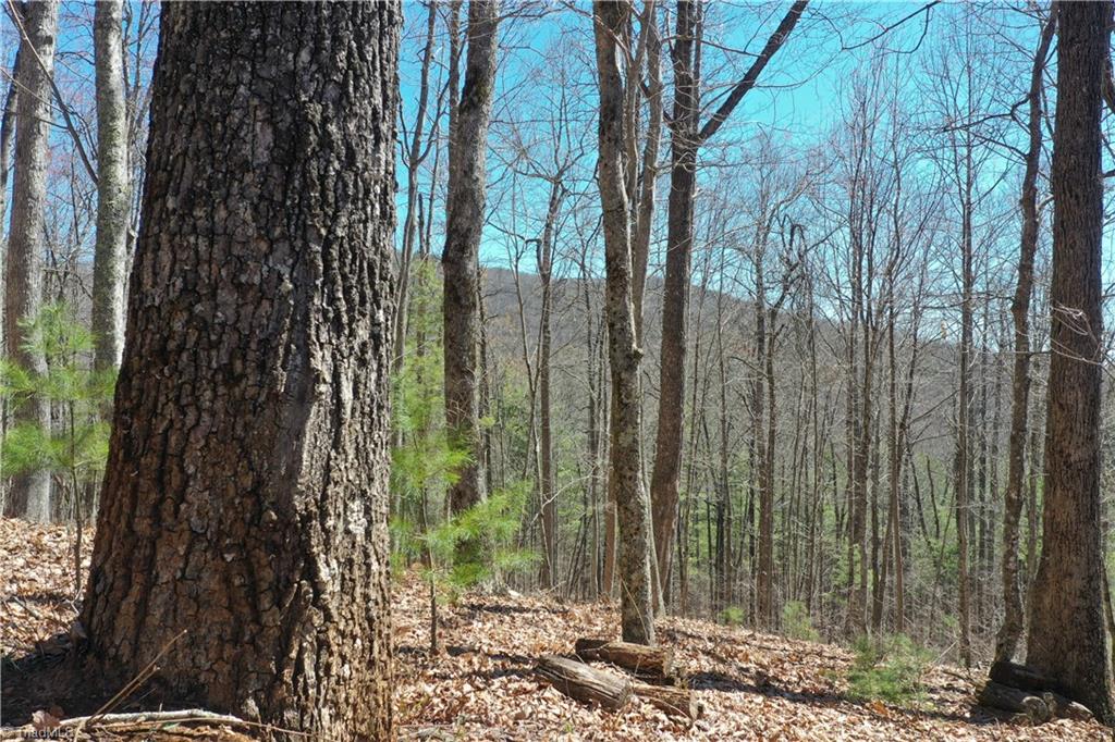 240 Olde Stone Drive Property Photo 2