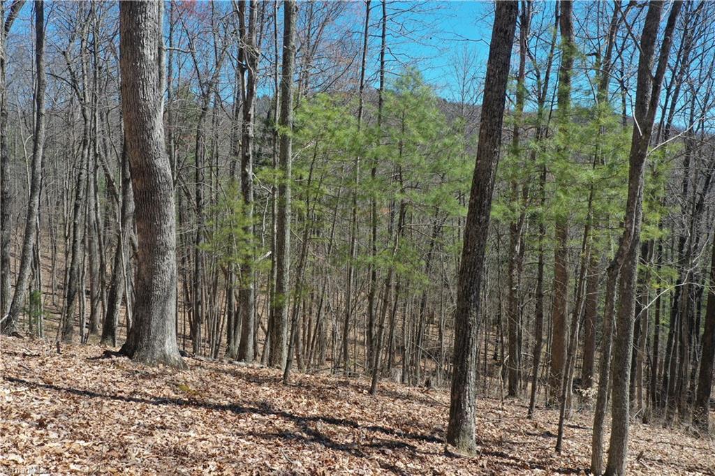 240 Olde Stone Drive Property Photo 6