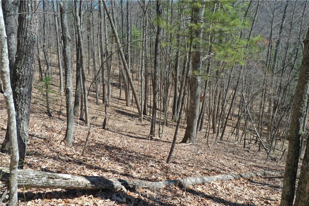 240 Olde Stone Drive Property Photo 7