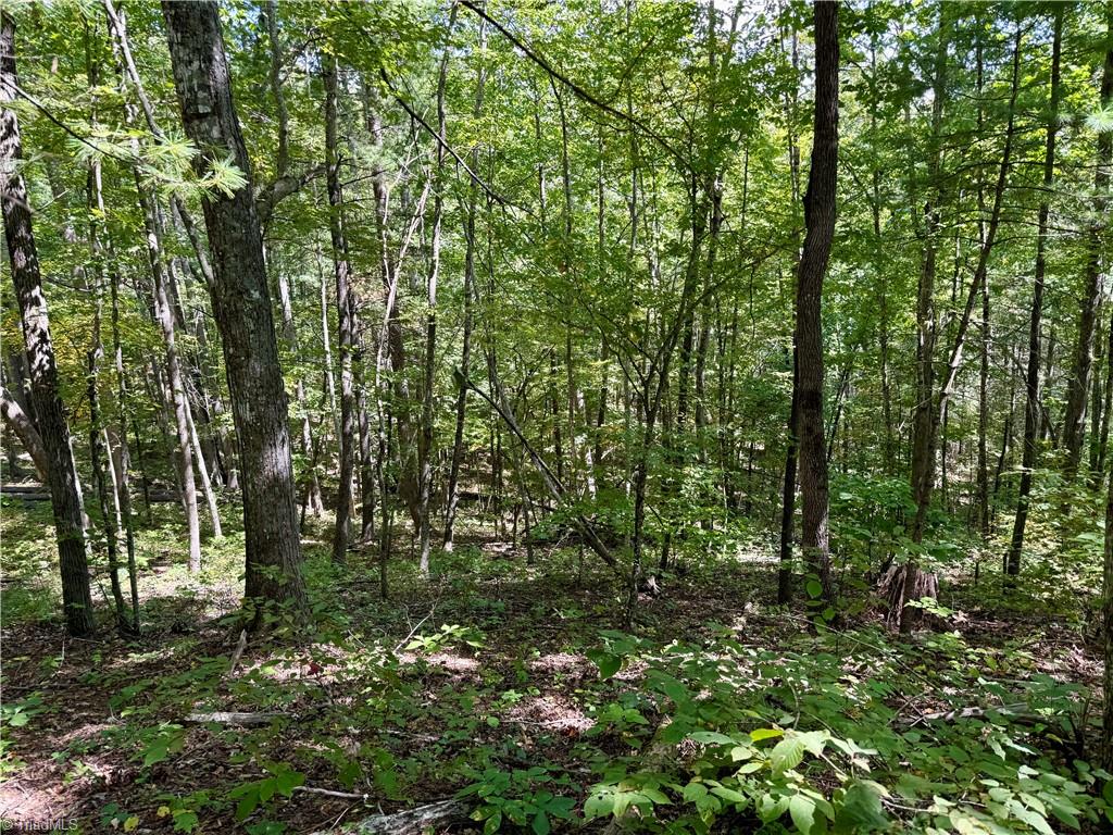 240 Olde Stone Drive Property Photo 9