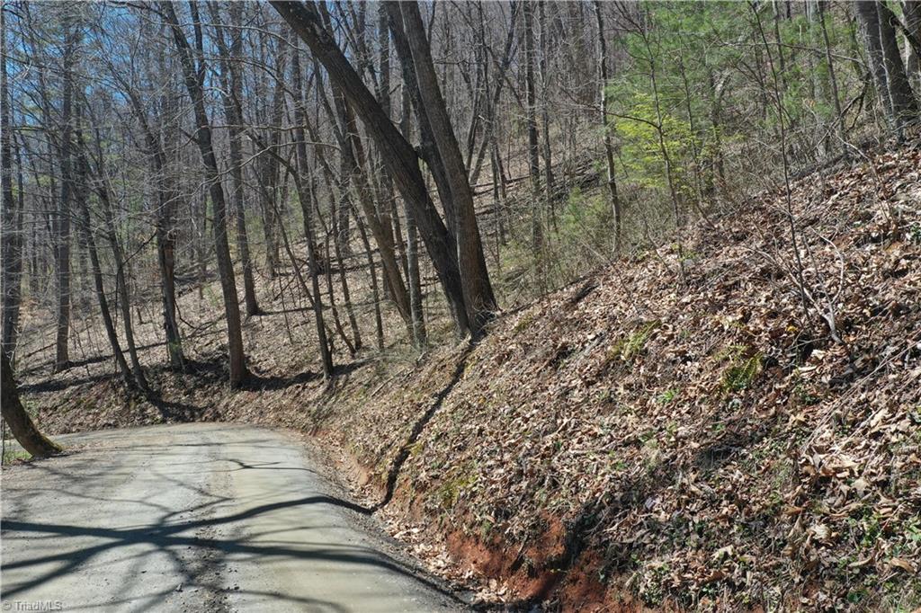 240 Olde Stone Drive Property Photo 10