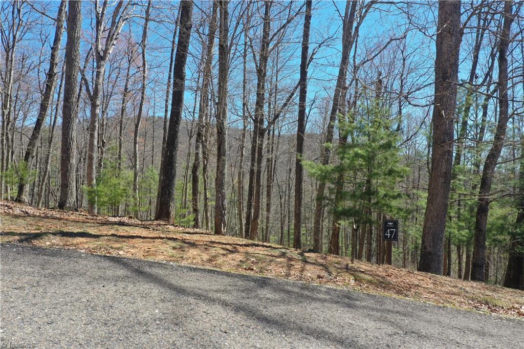 240 Olde Stone Drive Property Photo 13