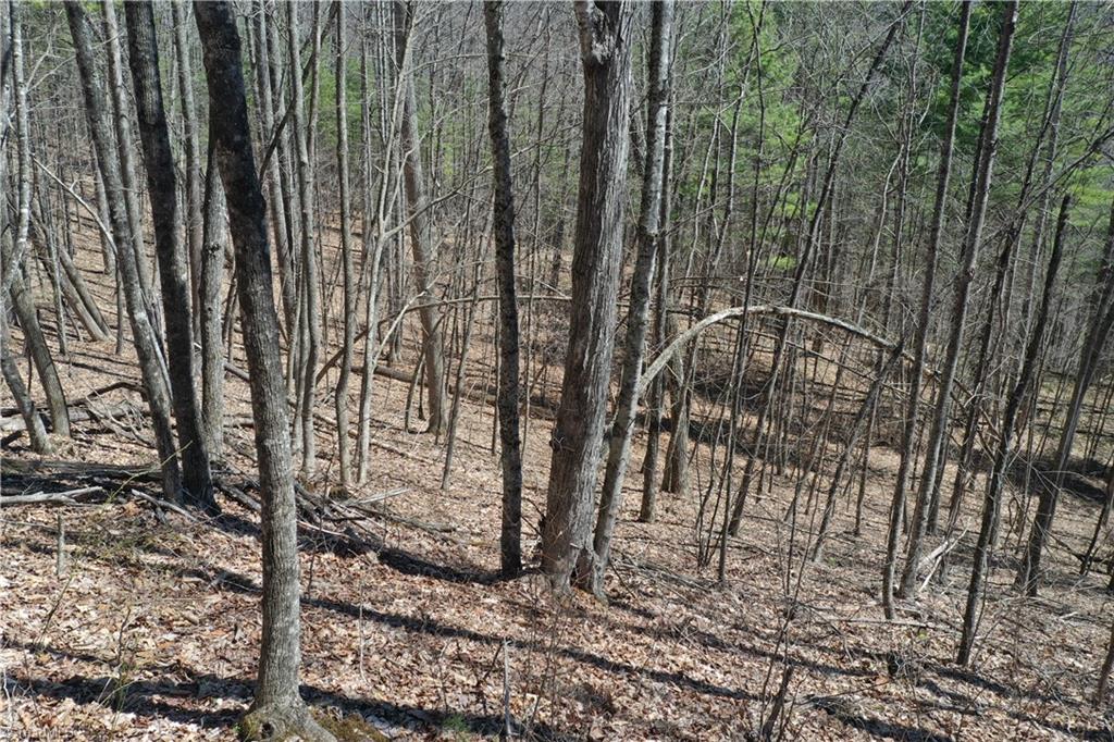 240 Olde Stone Drive Property Photo 15