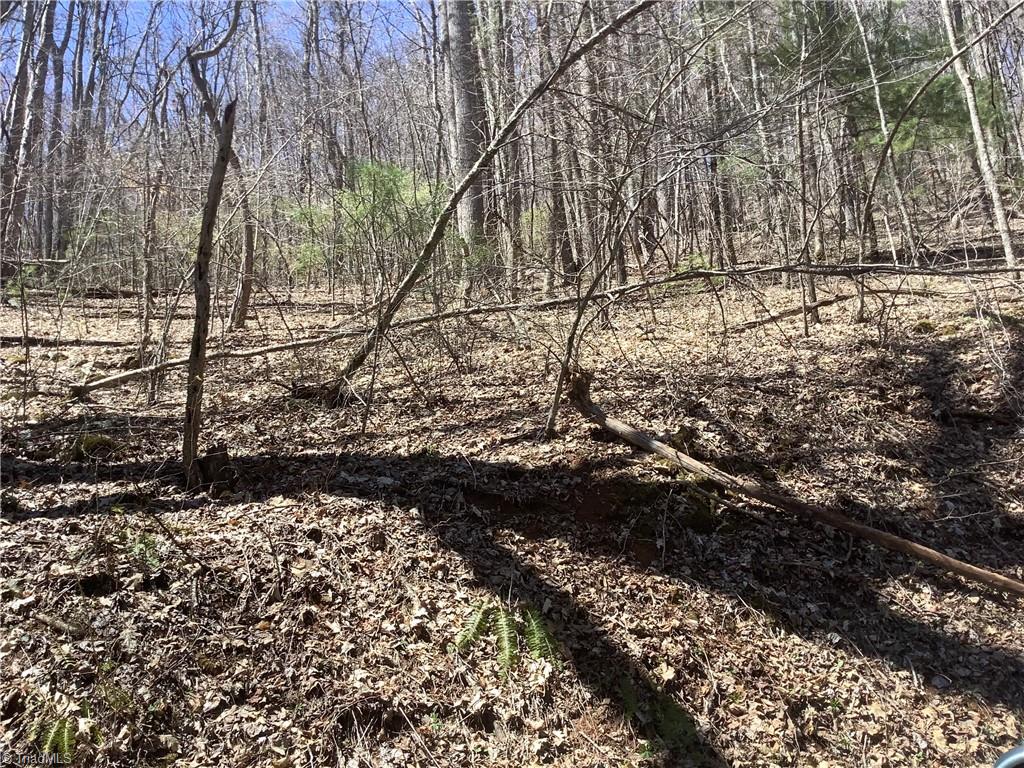 240 Olde Stone Drive Property Photo 17