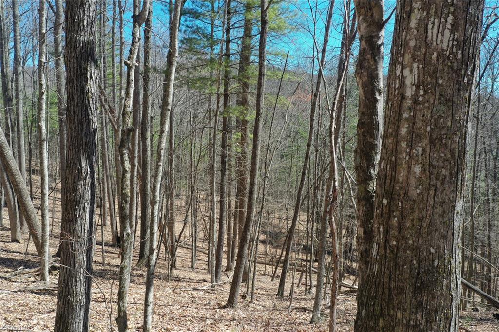 240 Olde Stone Drive Property Photo 19
