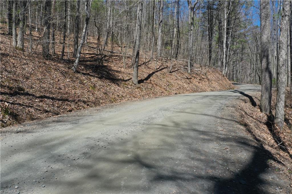 240 Olde Stone Drive Property Photo 23