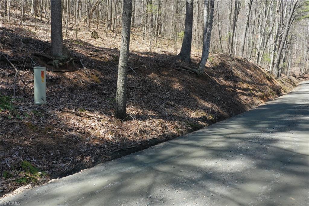 240 Olde Stone Drive Property Photo 24