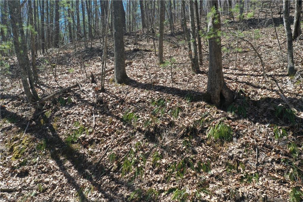 240 Olde Stone Drive Property Photo 25