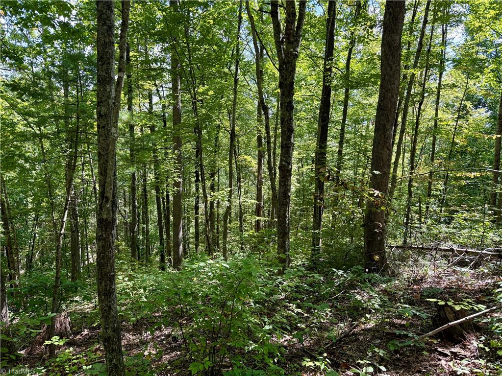 240 Olde Stone Drive Property Photo 28