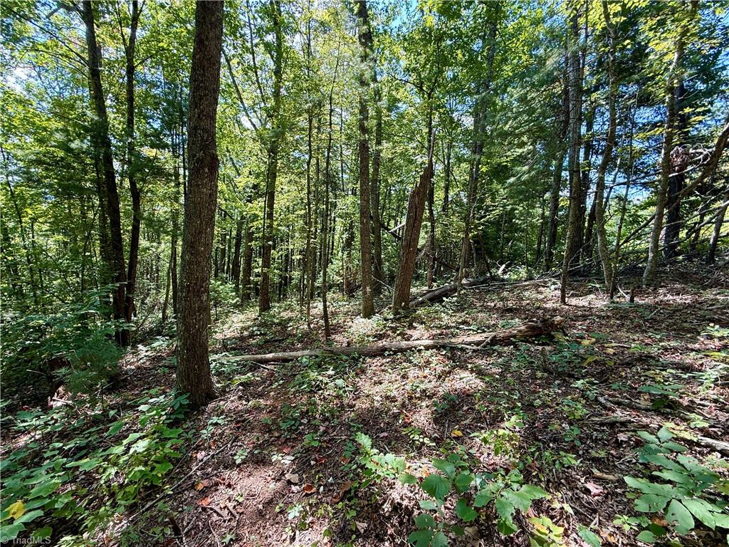 240 Olde Stone Drive Property Photo 31