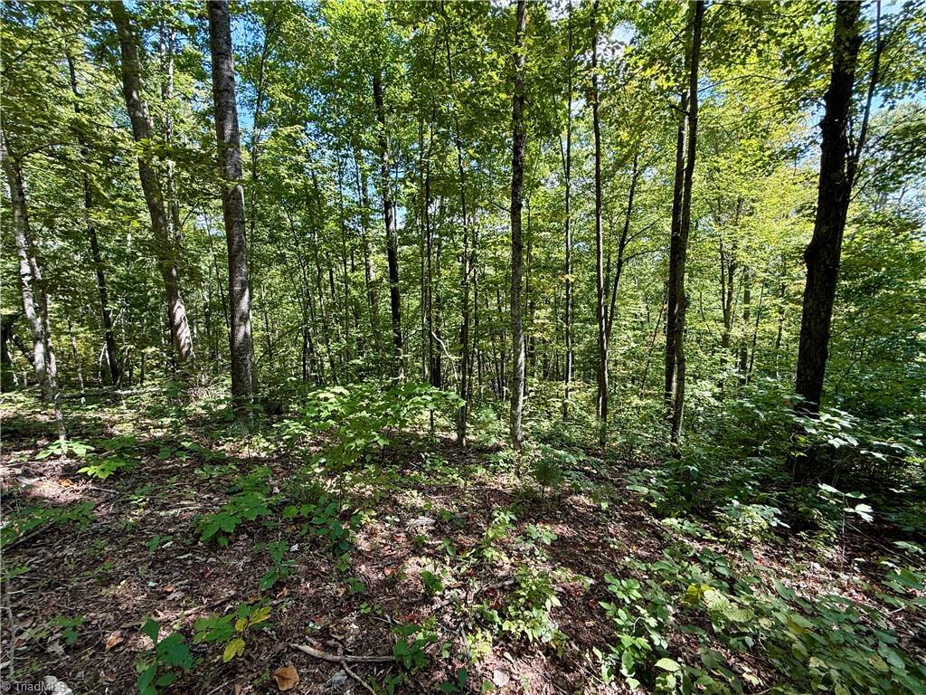 240 Olde Stone Drive Property Photo 33