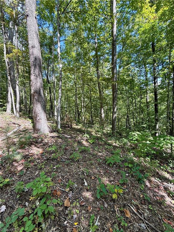 240 Olde Stone Drive Property Photo 36
