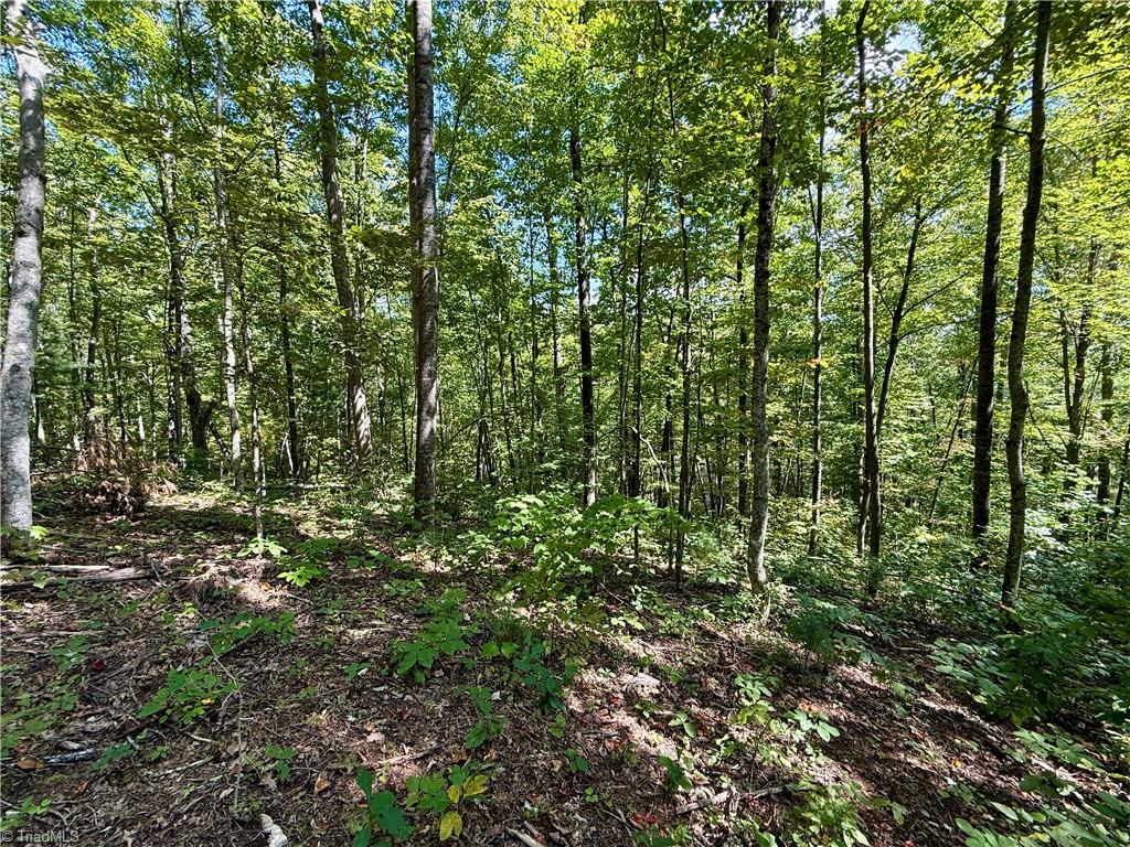 240 Olde Stone Drive Property Photo 39