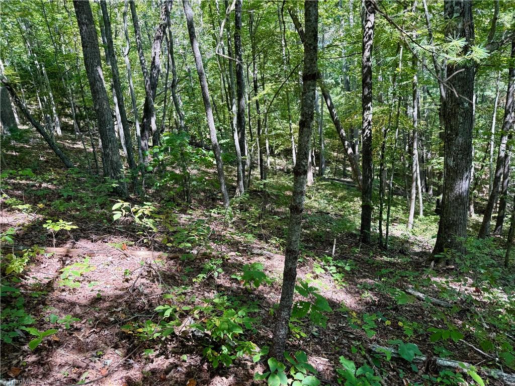 240 Olde Stone Drive Property Photo 40