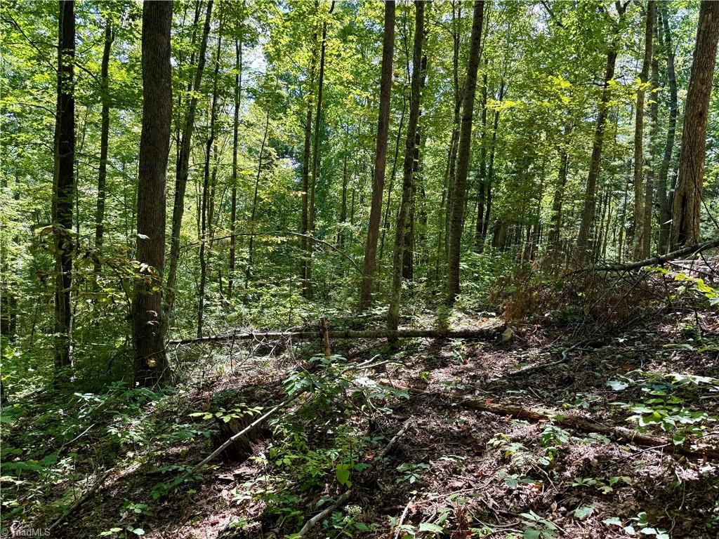 240 Olde Stone Drive Property Photo 41