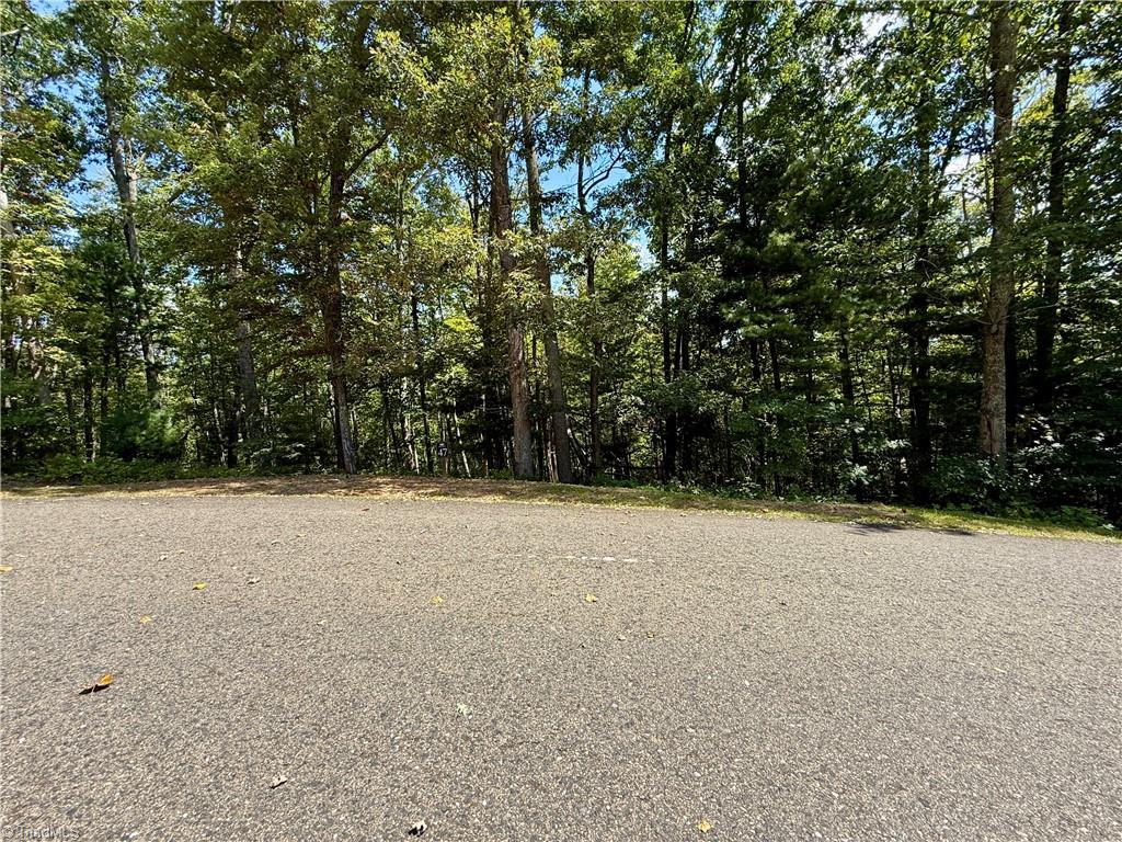 240 Olde Stone Drive Property Photo 42
