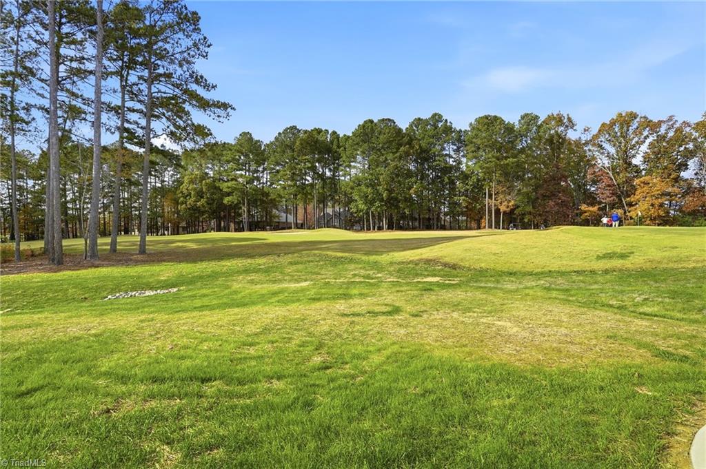 270 Olde Lantern Drive Property Photo 43