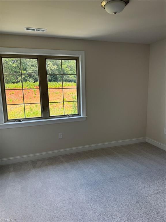 4713 Willowstone Drive Property Photo 18