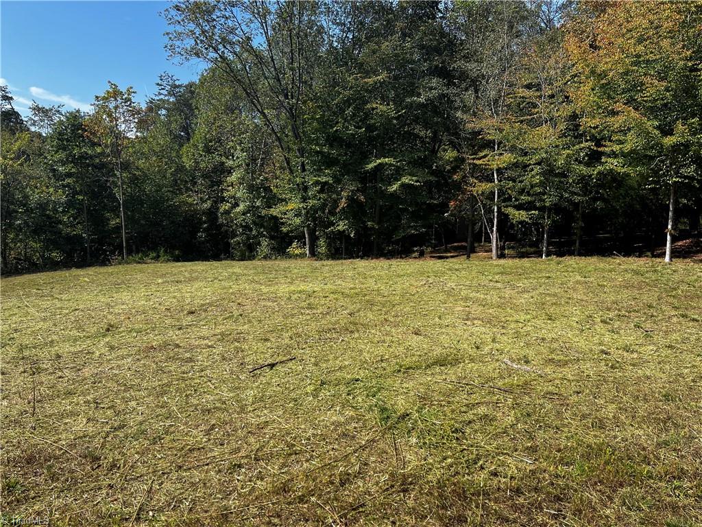 803 Birch Bark Lane Property Photo 3