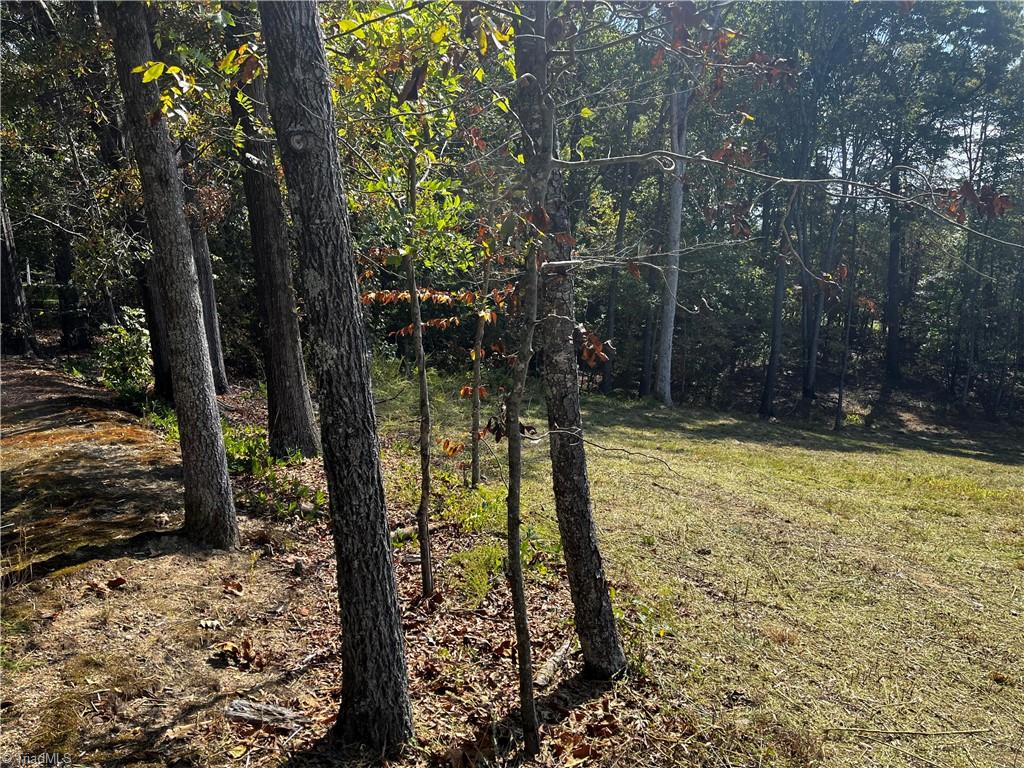 803 Birch Bark Lane Property Photo 4