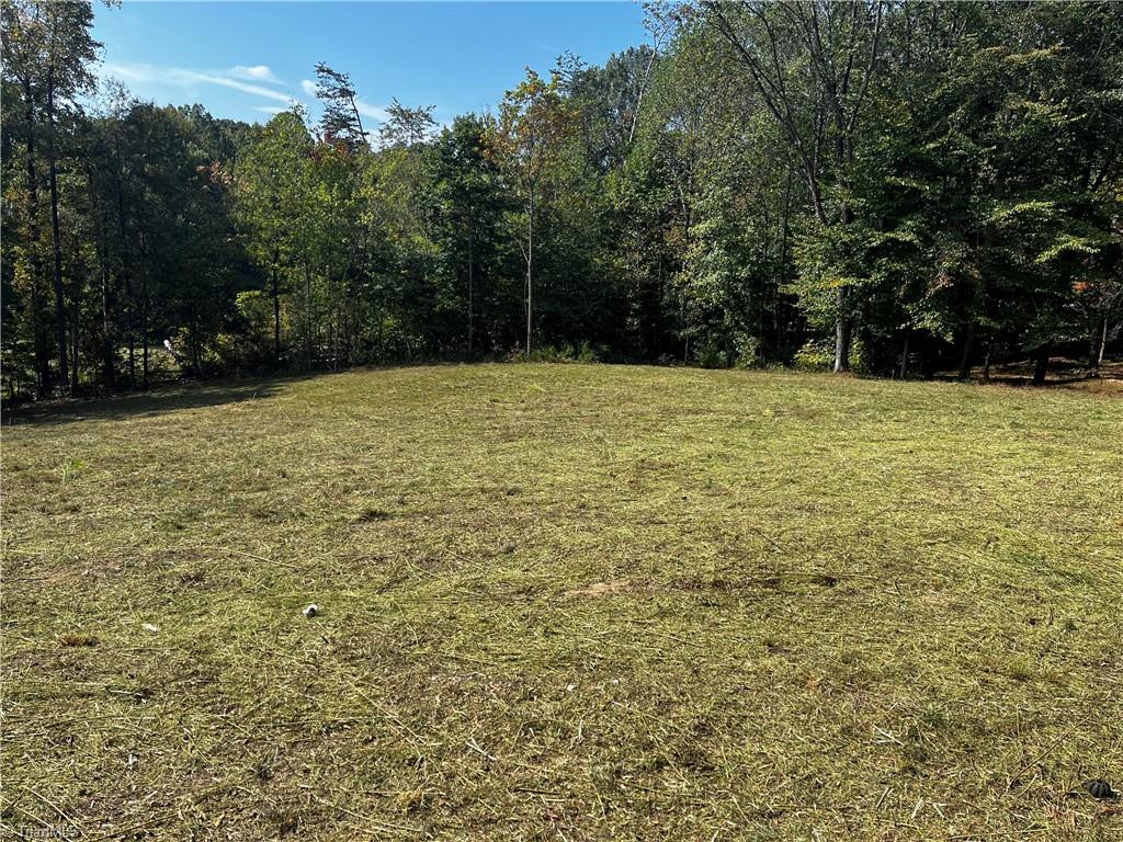803 Birch Bark Lane Property Photo 5