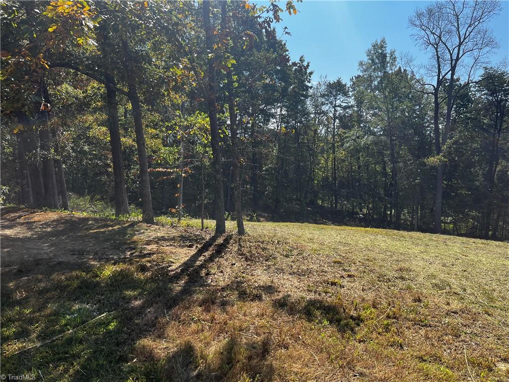 803 Birch Bark Lane Property Photo 6