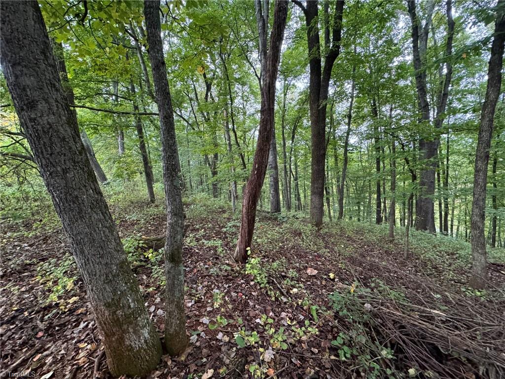 00 Red Hill Creek Road Property Photo 7