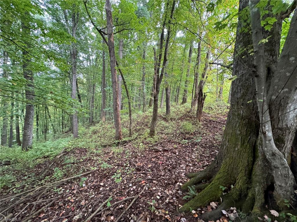 00 Red Hill Creek Road Property Photo 8