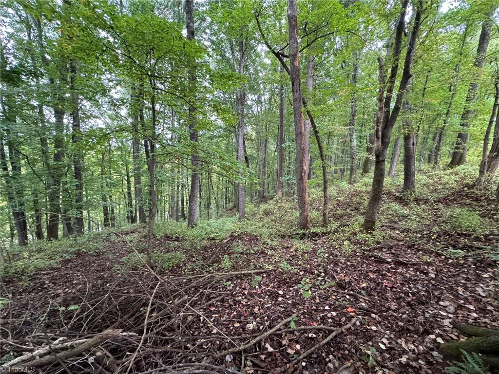 00 Red Hill Creek Road Property Photo 9