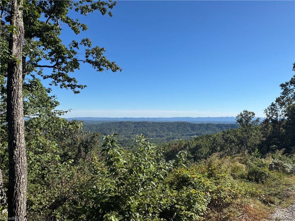 Tract 47 Widow Mountain Drive Property Photo 1