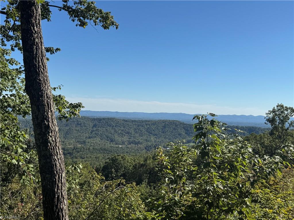 Tract 47 Widow Mountain Drive Property Photo 2