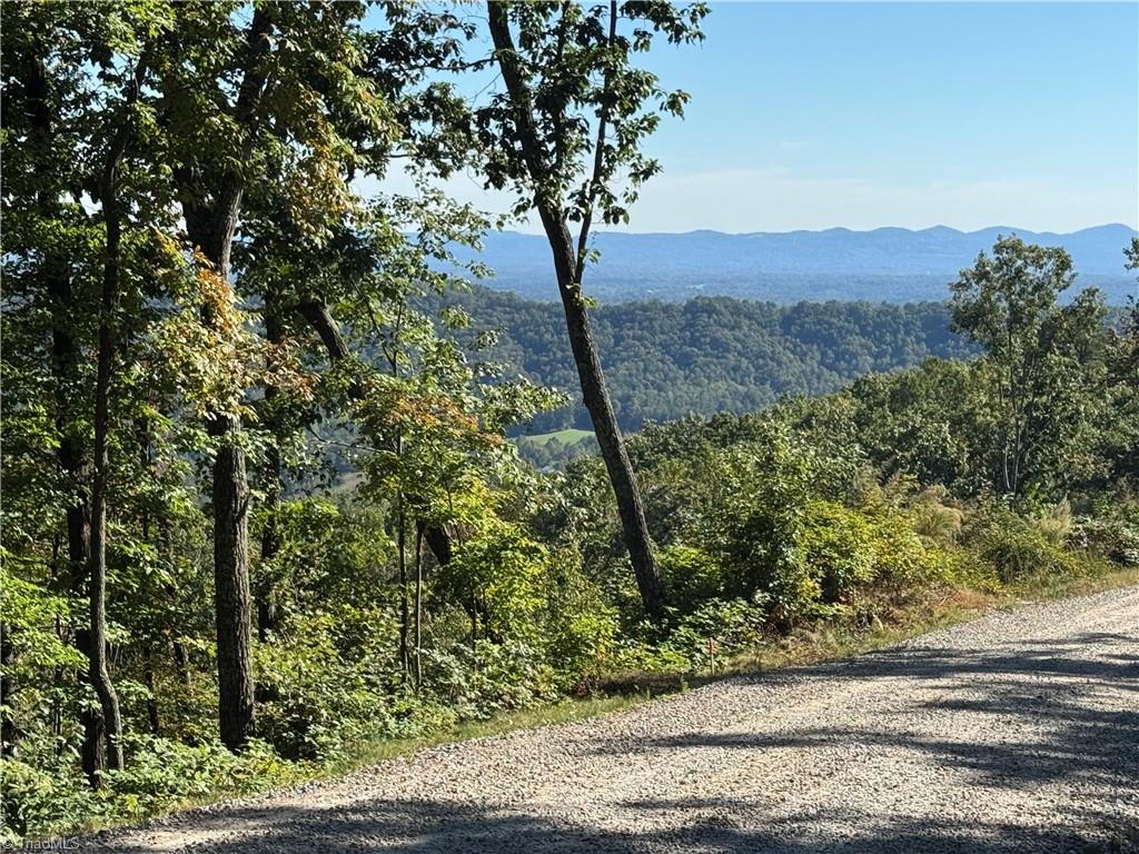 Tract 47 Widow Mountain Drive Property Photo 3